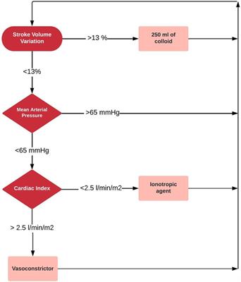 Intraoperative hemodynamic optimization using the hypotension prediction index vs. goal-directed hemodynamic therapy during elective major abdominal surgery: the Predict-H multicenter randomized controlled trial